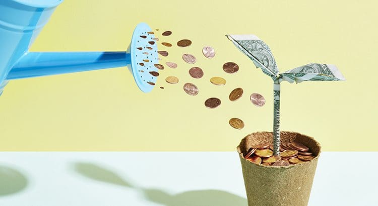 A shovel is being used to collect coins from a plant.