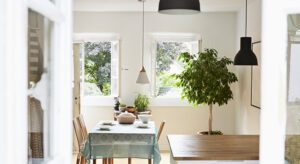 A dining room table with chairs and a potted tree.