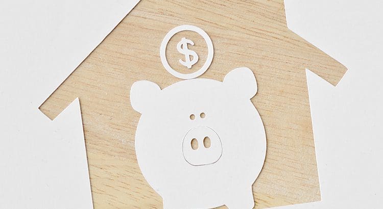 A white pig sitting on top of a wooden board.