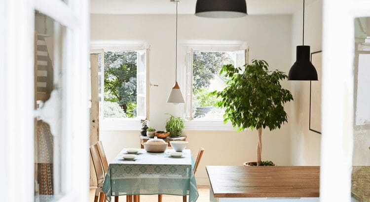 Bright dining room with table and plants.