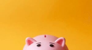 Pink piggy bank on orange background.