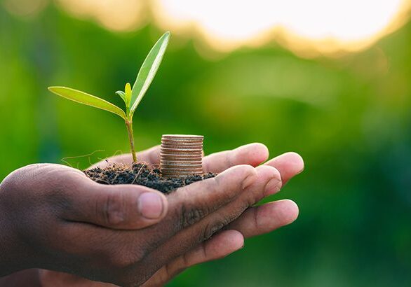 Trees are planted on coins in human hands with green natural backgrounds. Plant growth ideas and environmentally friendly investments.